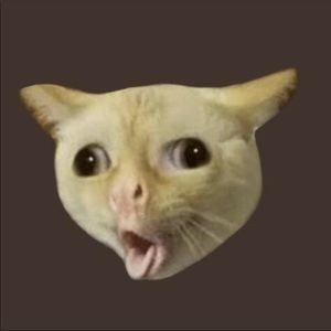 Meet your Posher, Elise